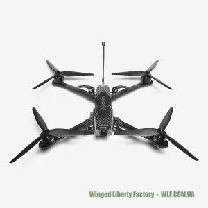 FPV Дрон WLF Фрідом-10Ф 10 дюймів GPS (до 3.5 кг)