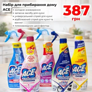Набір для прибирання дому ACE 5 шт (жировидалювач та дезінфектор)