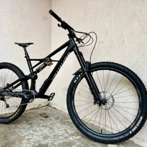 Велосипед Specialized Enduro 2019 Fattie L