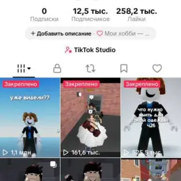 TikTok аккаунт 12.5 тыс. подписчиков