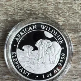 Монета Сомалі "Слон" 1 oz Ag 999.9 2026