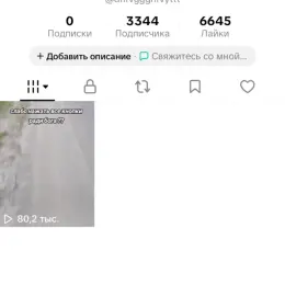 TikTok аккаунт с 3344 подписчиками