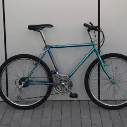 Дитячий велосипед Kalkhoff Morangie 24" Sachs