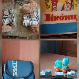 Різноманітні товари: іграшки, декор, одяг та аксесуари