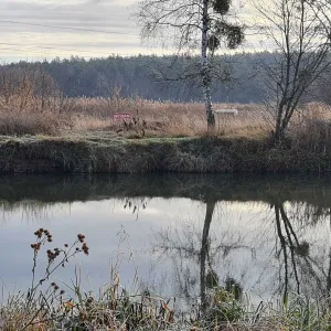 Продаж земельної ділянки Київській обл.м.Ірпінь.