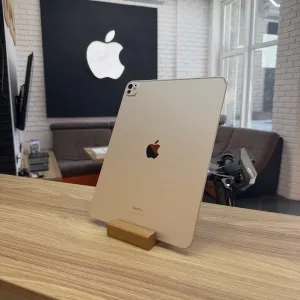 iPad Pro 13 M4 256 GB + Apple Pencil Pro
