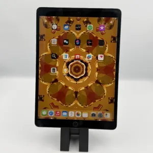 Ipad Air 3 2019 256gb Wifi 10.5  з гарнатією