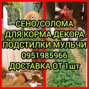 ‼️СІНО ДЕКОР СО ЛО МА  ДОСТАВКА от 1 шт, сено в тюках мешках суданки и др виды.