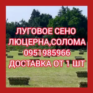 ‼️СІНО С ДОСТАВКОЙ от 1 шт  в тюках мешках. Сено в тюках. Большие объёмы.
