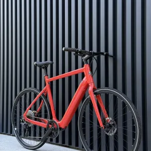 Giant Momentum Voya e+ 2024 електровелосипед велосипед легкий