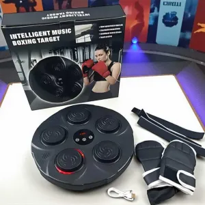 Музична мішень для боксу Intelligent Music Boxing Target 9 швидкостей