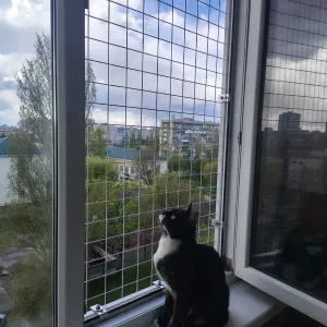 Решетка Антикошка на окна