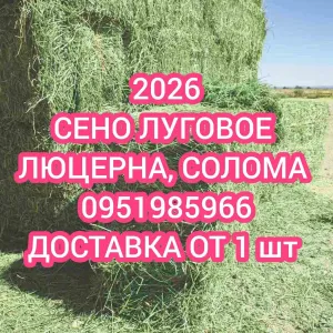 ‼️Сено С  ДОСТАВКОЙ от 1 шт (сіно) в тюках мешках (люцерны и др виды. Большие объёмы. Для лошадей, КРС, коз, овец.