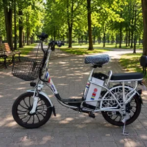 * Акція Gofun 1000W 20Ah Електровелосипед Для Двох Літій