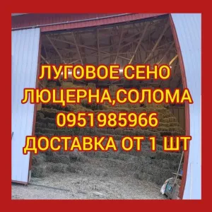 ‼️Сено  ДОСТАВКА от 1 шт сіно в тюках мешках (фацелии и др). Для КРС, лошадей, коз, овец‼️