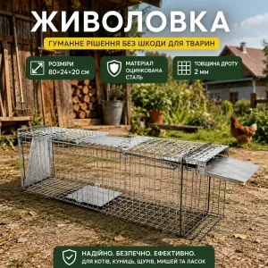 Живоловка 24×20× 80 см — Пастка для куниць, ласок, щурів, котів | Оцинкована сталь | Гуманний відлов
