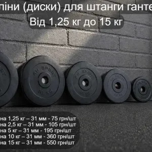 Бліни диски для штанги гантель 15 кг / 10 кг / 5 кг / 2,5 кг / 1,25 кг | Блин млинець диск композитний під штангу гантелі 31 мм посадковий діаметр