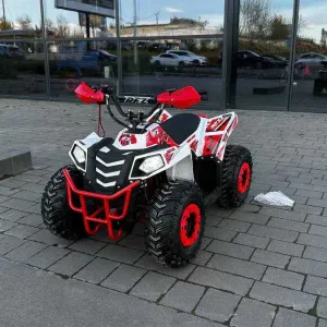 Електроквадроцикл Apollo Commander E1000