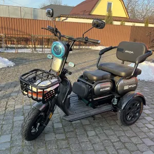 Електро FADA OLDI 1100