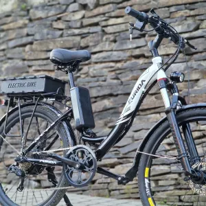 Мощный 1500W 48V безшумный Ebike электровелосипед на дамской раме