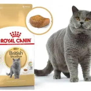 13 кг Роял Канін для Британців Royal Canin British Adult по 350 грн/кг