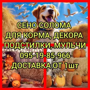 ‼️СОЛОМА ДЛЯ ДЕКОРА  С ДОСТАВКОЙ ОТ 1 ШТ в тюках мешках. Декор, подстилка, корм‼️
