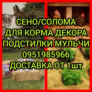 ‼️СЕНО С ДОСТАВКОЙ от 1 шт  в тюках мешках посевное и др, сіно. Доставка от 1 шт‼️