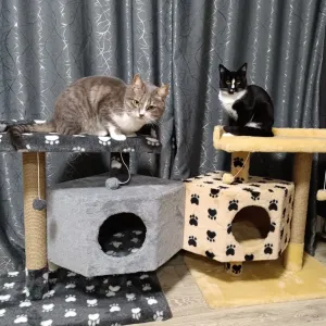 Будиночок для котика. Хатинка для кот