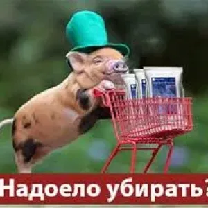 > Несменяемая  подстилка для животных 3 года без уборки 1 раз засыпка