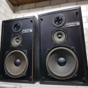 Акустика MAGNAT SONOBULL 10 +1, потужність 40/60 Вт, б/у з Німеччини