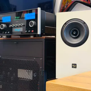 Novozhilov WideArc Compact — полочный широкополосник без кроссовера ℹ️ 6" SB Acoustics, авторский режекторный фильтр | украинская ручная сборка, новая