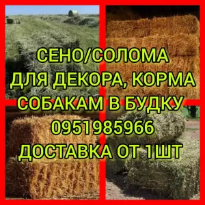 ‼️Сено ДОСТАВКА от 1 шт в тюках мешках , сіно горох и др виды.