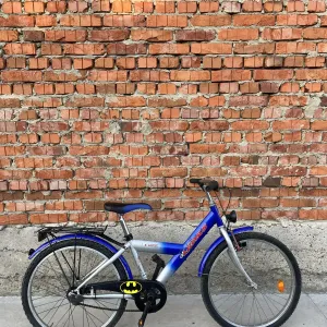 Велосипед Pegasus 24