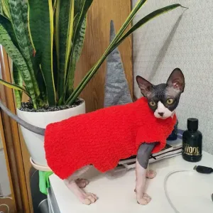 Вязаная одежда для собак, котов, сфинксов