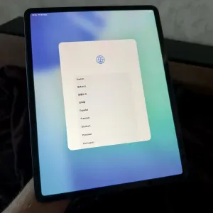 Ipad Pro 12.9 4-generation,256,акб 94,icloud,ios 26.5.2,в идеальном состоянии