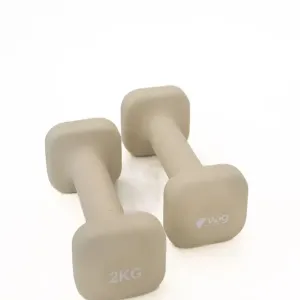 Гантелі для фітнесу WCG Cube 2×2 кг