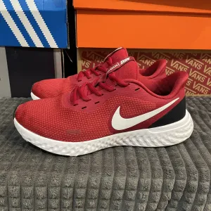 Оригінальні кросівки Nike Revolution 5 40(25см)