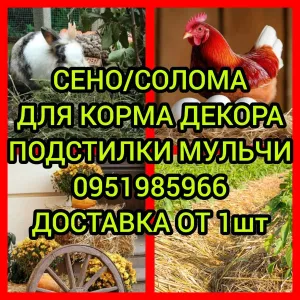 ‼️СЕНО  ДОСТАВКА от 1 шт  в тюках мешках, сіно разнотравье и др виды с доставкой от 1 штуки‼️