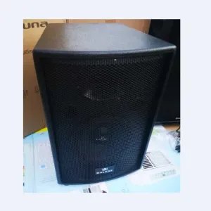 Топ монитор активная колонка 300 Вт MALONE 10".Высота 56 см,вес 18 кг