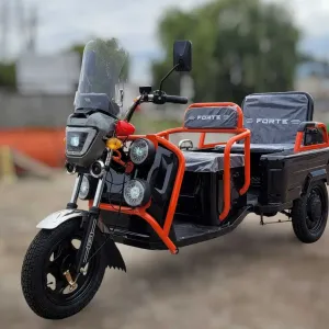 Трицикл електричний FORTE GP-1000-Р