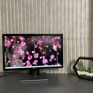 IPS Монітор DELL  SE2416H 24 дюйми full hd