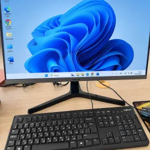 Монітор Samsung LS24R350FHIXCI 23,8″ IPS Full HD 75Гц HDMI-VGA В упаковці