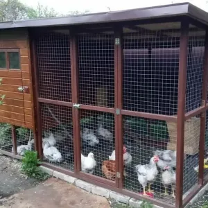 Продам КуРяТнИк, домик для курей