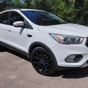 Ford Escape 2017 1.5 Бензин AT 4WD