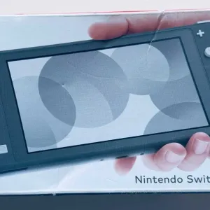 Ігрова консоль Nintendo Switch Lite Grey 32Gb
