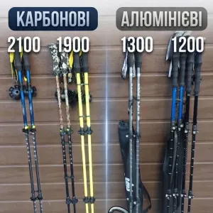 Трекінгові палиці 2шт. Різні види.