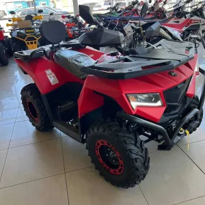 Квадроцикл Apollo CYBERROAMER CR300 PRO