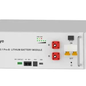 Акумуляторна батарея Deye SE-G5.1Pro-B (LiFePO4 51,2V 100Ah)