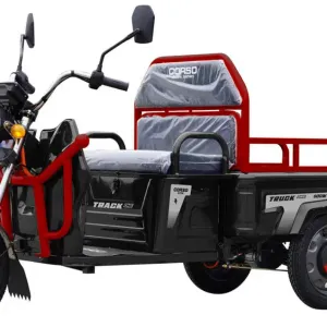 Електричний вантажний трицикл CORSO “Truck One”;800W;60V/32 Ah