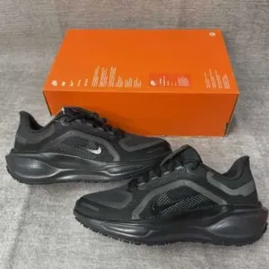 Nike Air Zoom Pegasus 41 GTX (art.FQ1357 001) оригінал!!!